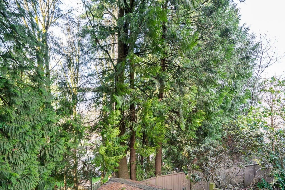 Front Yard Photo of 8403 Arbour Place, Surrey, BC