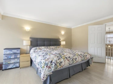 Basement Recreation Room Photo of 6260 Richards Drive, Richmond, BC