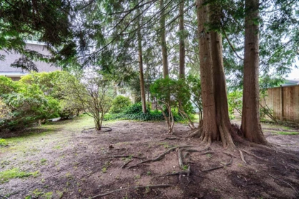 Garden / Landscaping Photo of 1634 Ross Road, North Vancouver, BC