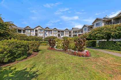 Front Yard Photo of 103 19673 Meadow Gardens Way, Pitt Meadows, BC