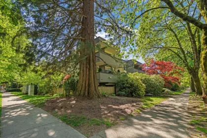 Garden / Landscaping Photo of 202 1710 13th Avenue, Vancouver, BC
