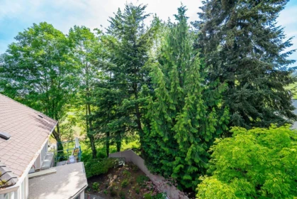 Outdoor Patio Photo of 409 15340 19a Avenue, Surrey, BC