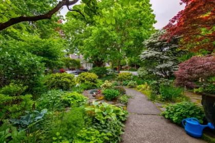 Outdoor Kitchen Photo of 412 W 21st Avenue, Vancouver, BC