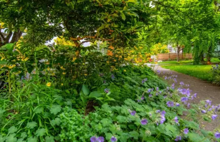 Street View Photo of 412 W 21st Avenue, Vancouver, BC