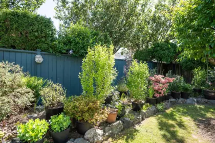 Backyard Photo of 4835 59a Street, Delta, BC
