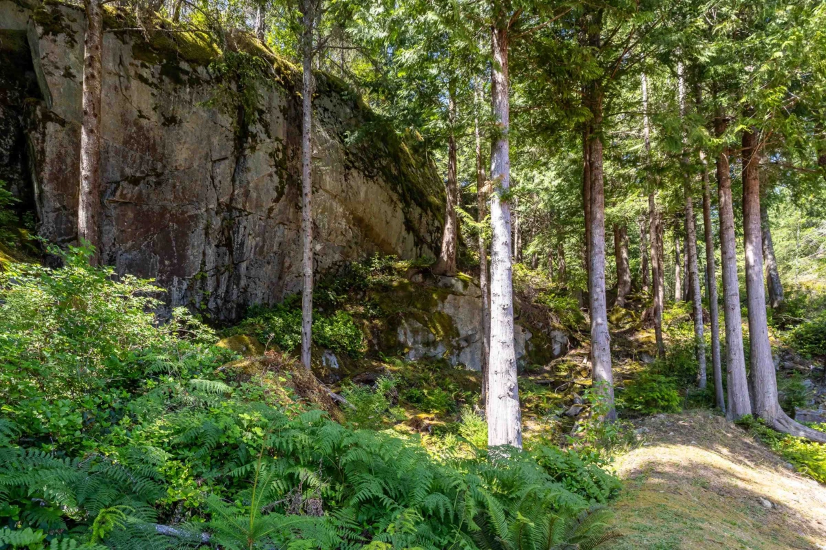 Exterior Rear Photo of 5823 Leaning Tree Road, Halfmoon Bay, BC