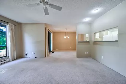 10509 Holly Park Lane, Surrey, BC, Surrey — Townhouse for sale