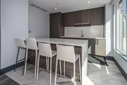Aerial View of 487 W 26th Avenue, Vancouver, BC
