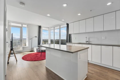 Kitchen Photo of 3703 2388 Madison Avenue, Burnaby, BC