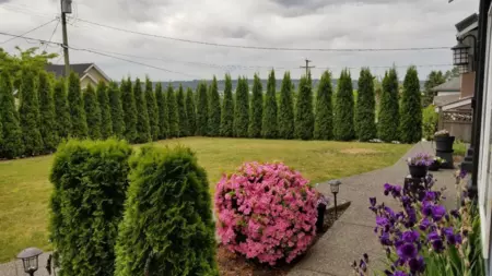 316 Begin St, Coquitlam, BC, Coquitlam — Single Family Residence for sale