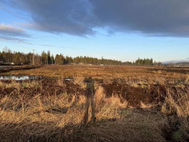 26215 84 Avenue, Langley, BC, Langley — Land for sale