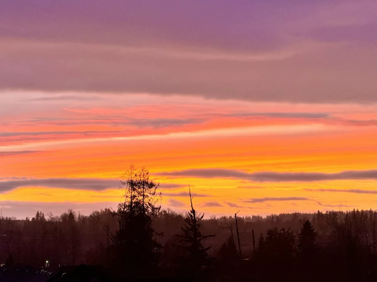 Aerial View of 18 7177 179th Street, Surrey, BC