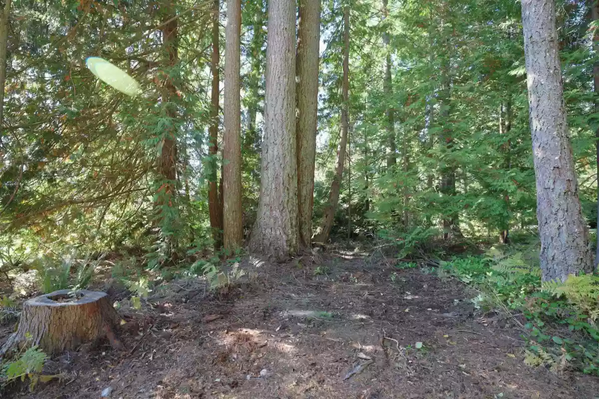 Dining Area Photo of 588 Veterans Road, Gibsons, BC