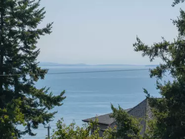 13195 14 Avenue, Surrey, BC, Surrey — Single Family Residence for sale