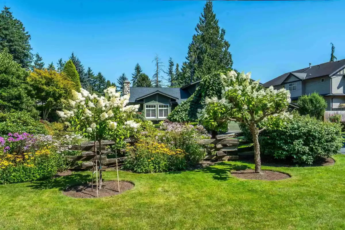 Family Room Photo of 4226 199a Street, Langley, BC