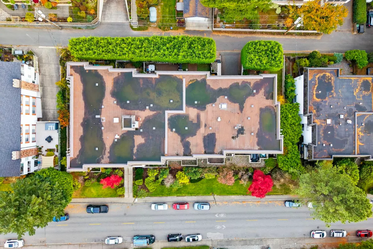 Backyard Photo of 304 1360 Martin Street, White Rock, BC