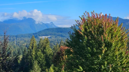 Outdoor Patio Photo of 25580 Godwin Drive, Maple Ridge, BC
