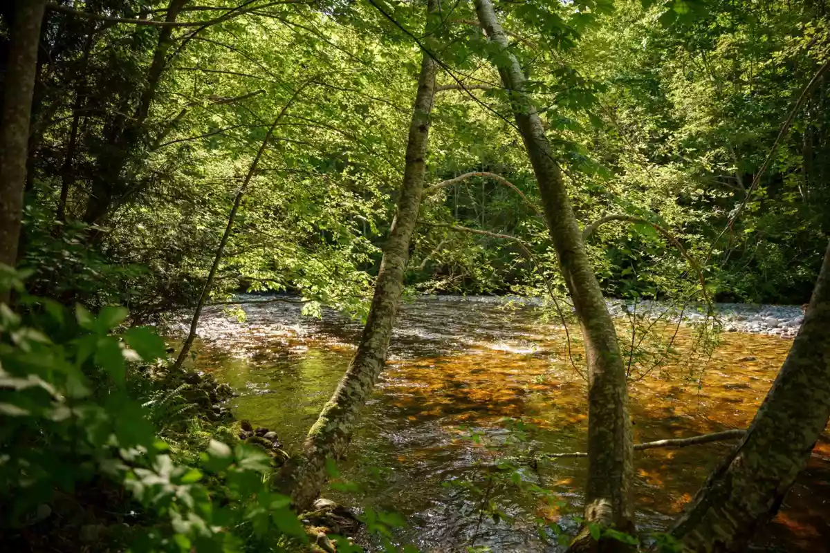 Swimming Pool Photo of 105 5160 Davis Bay Road, Sechelt, BC