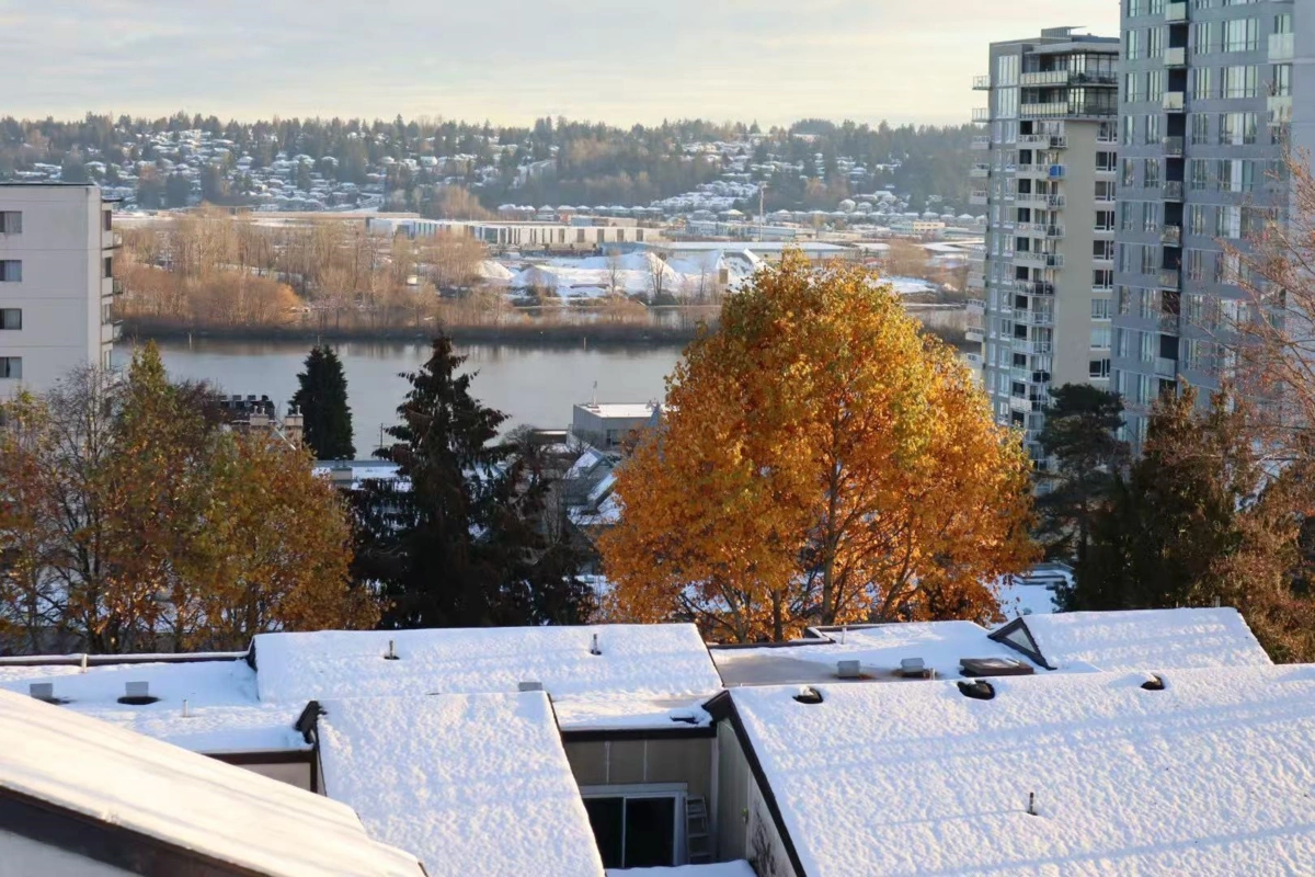 Aerial View of 501 500 Royal Avenue, New Westminster, BC