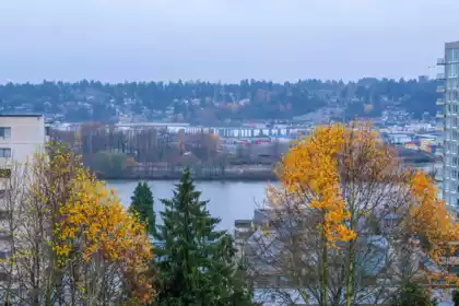 501 500 Royal Avenue, New Westminster, BC, Downtown NW — 1 bed apartment/condo for sale