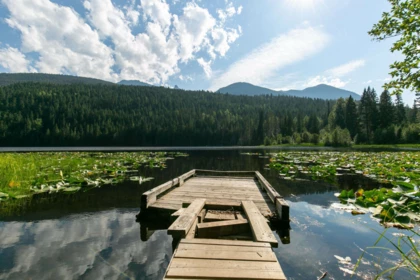Neighborhood Park Photo Near 2841 Blackwater Road, D'Arcy, BC