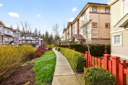 115 10151 240 Street, Maple Ridge, BC