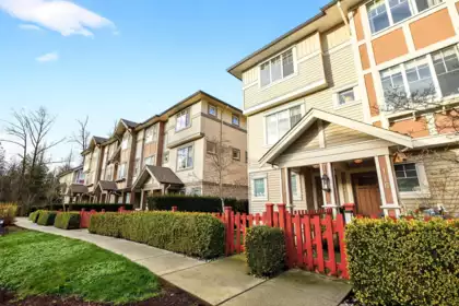 115 10151 240 Street, Maple Ridge, BC