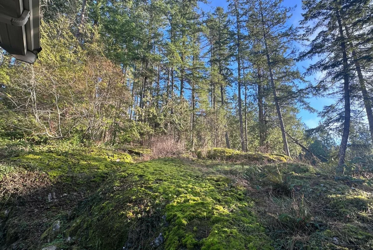 Basement Recreation Room Photo of 8650 Redrooffs Road, Halfmoon Bay, BC