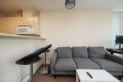 809 1331 Alberni Street, Vancouver, BC