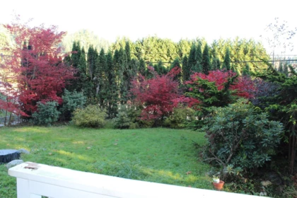 Basement Recreation Room Photo of 1472 Pipeline Road, Coquitlam, BC