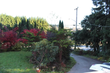 Laundry Room Photo of 1472 Pipeline Road, Coquitlam, BC