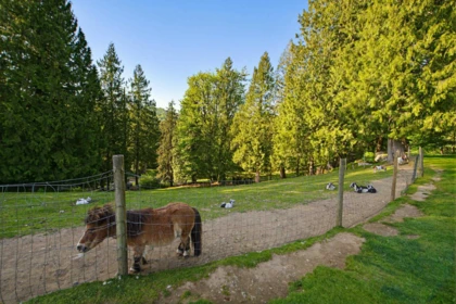 Community Amenities Photo (Clubhouse) of 32403 Best Avenue, Mission, BC