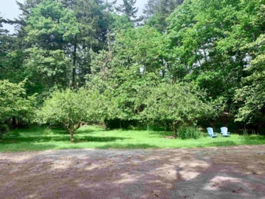 Neighborhood Park Photo Near 754 Steward Drive, Mayne Island, BC
