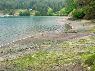 Swimming Pool Photo of 754 Steward Drive, Mayne Island, BC