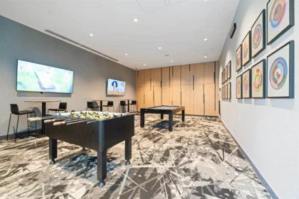 Basement Recreation Room Photo of 202 3809 Evergreen Place, Burnaby, BC