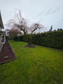 Basement Recreation Room Photo of 18138 59A AVENUE, Surrey BC V3S 4V5
