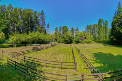 Pantry Photo of 21810 132 Avenue, Maple Ridge, BC