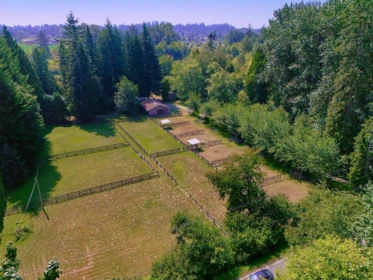 Primary Bedroom Photo of 21810 132 Avenue, Maple Ridge, BC