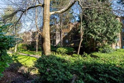 Backyard Photo of 106 10644 151a Street, Surrey, BC