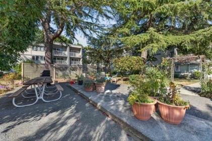 Aerial View of 119 3451 Springfield Drive, Richmond, BC