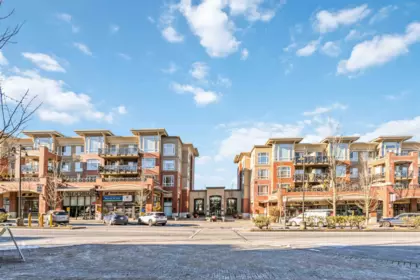 421 2970 King George Boulevard, Surrey, BC, Surrey — Apartment/Condo for sale