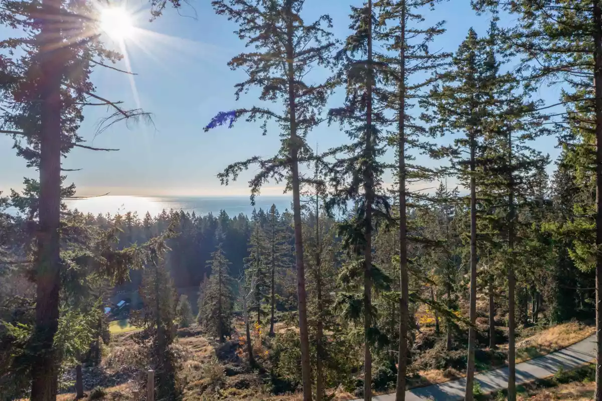 Breakfast Nook Photo of 818 Mcintosh Lane, Bowen Island, BC