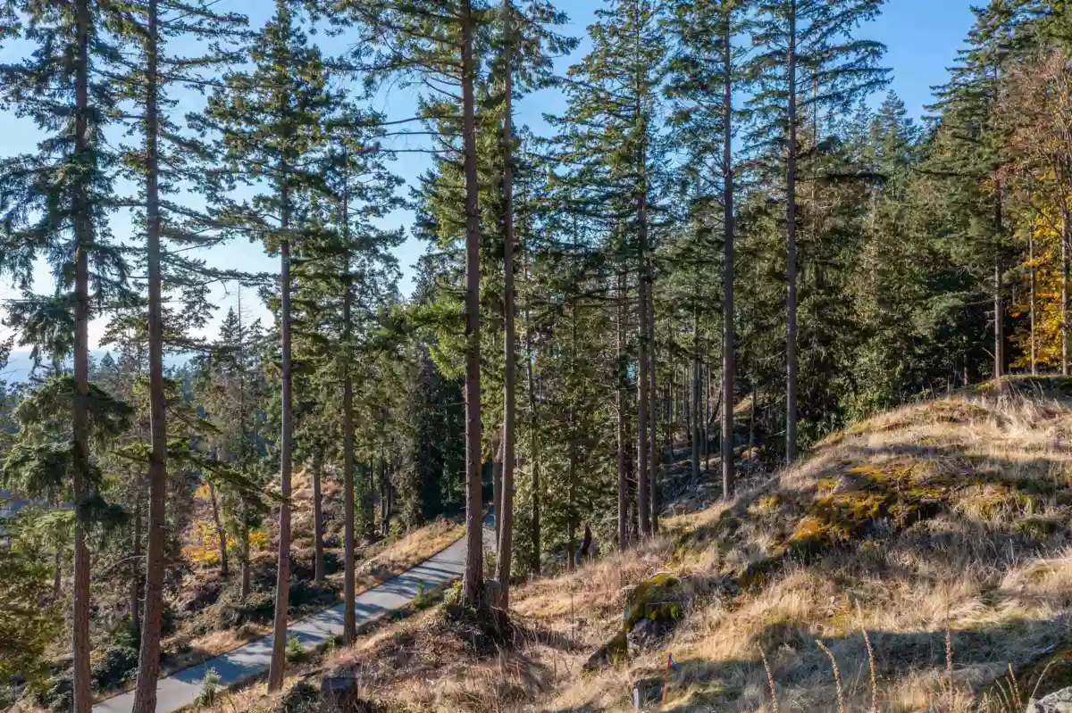 Kitchen Photo of 818 Mcintosh Lane, Bowen Island, BC
