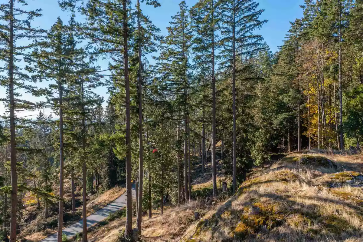 Primary Bedroom Photo of 818 Mcintosh Lane, Bowen Island, BC