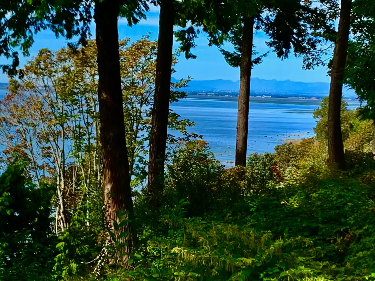 Kitchen Photo of 12581 16 Avenue, Surrey, BC