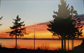 12581 16 Avenue, Surrey, BC