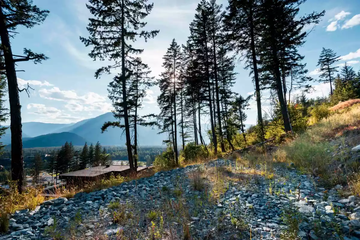 Exterior Rear Photo of 9000 Sun God Mountain Way, Pemberton, BC