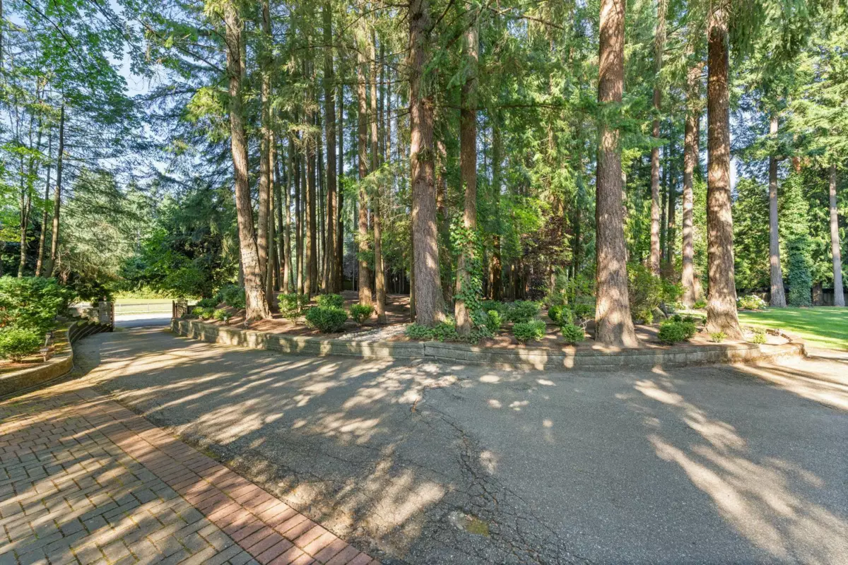 Aerial View of 13514 20 Avenue, Surrey, BC