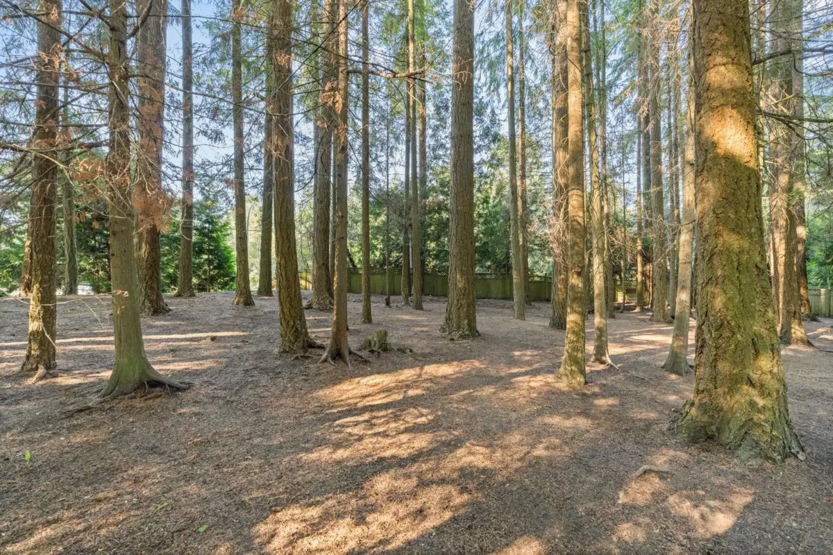 Street View Photo of 13514 20 Avenue, Surrey, BC