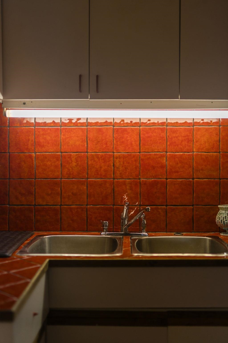 Backyard Photo of 2869 Venables Street, Vancouver, BC